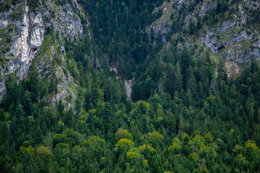 a large mountain with a forest below it