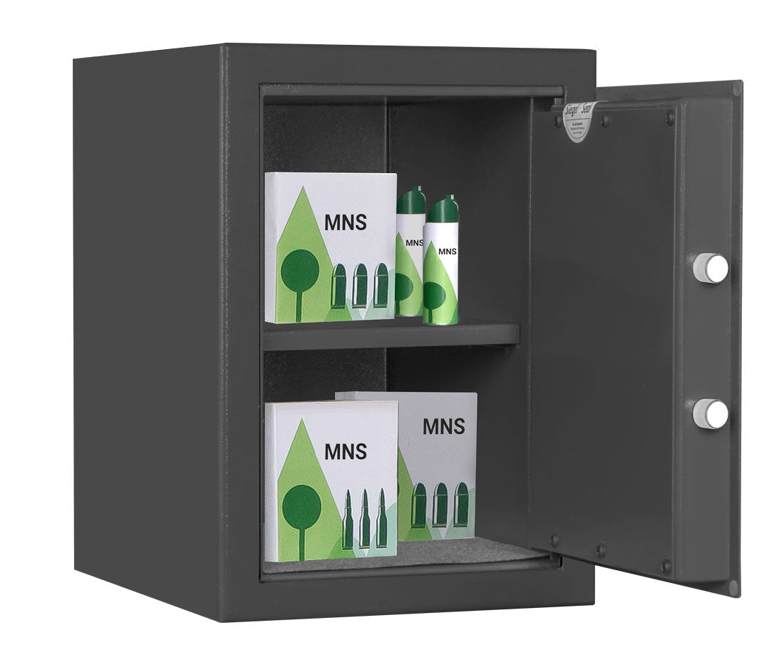 Armoire à munitions FORMAT MNS 210 – Stockage de munitions sécurisé - Lecoffrefort.com